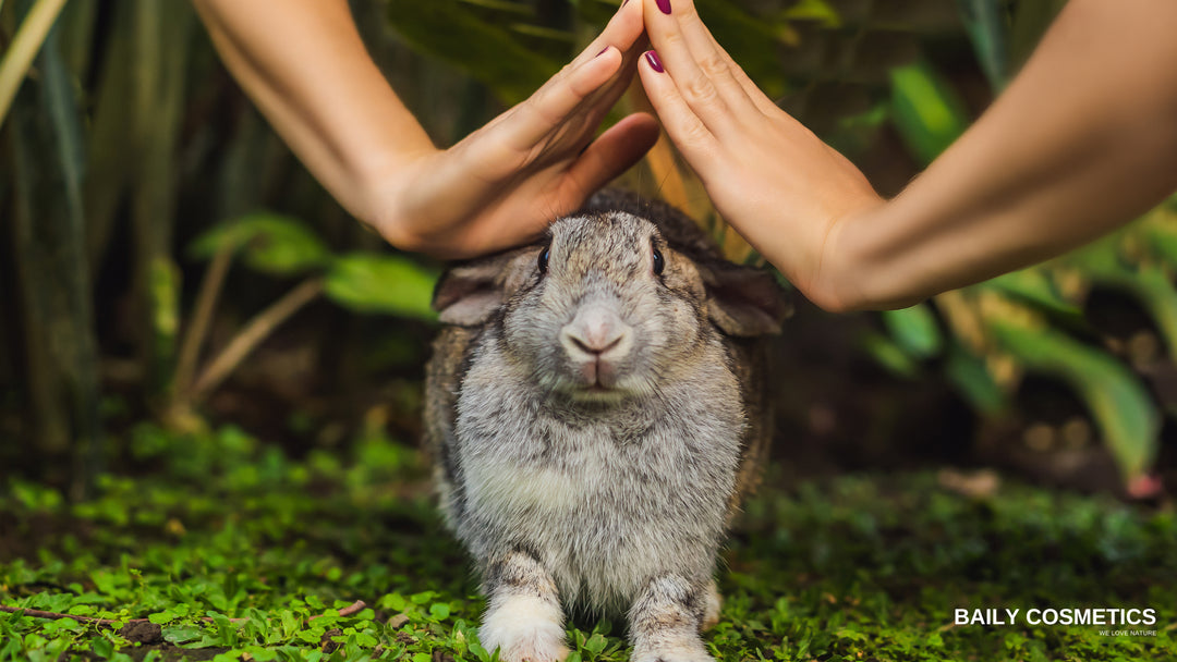 Image featuring a rabbit centered between two protective hands, symbolizing Baily Cosmetics LLC's commitment to animal protection and cruelty-free beauty practices.