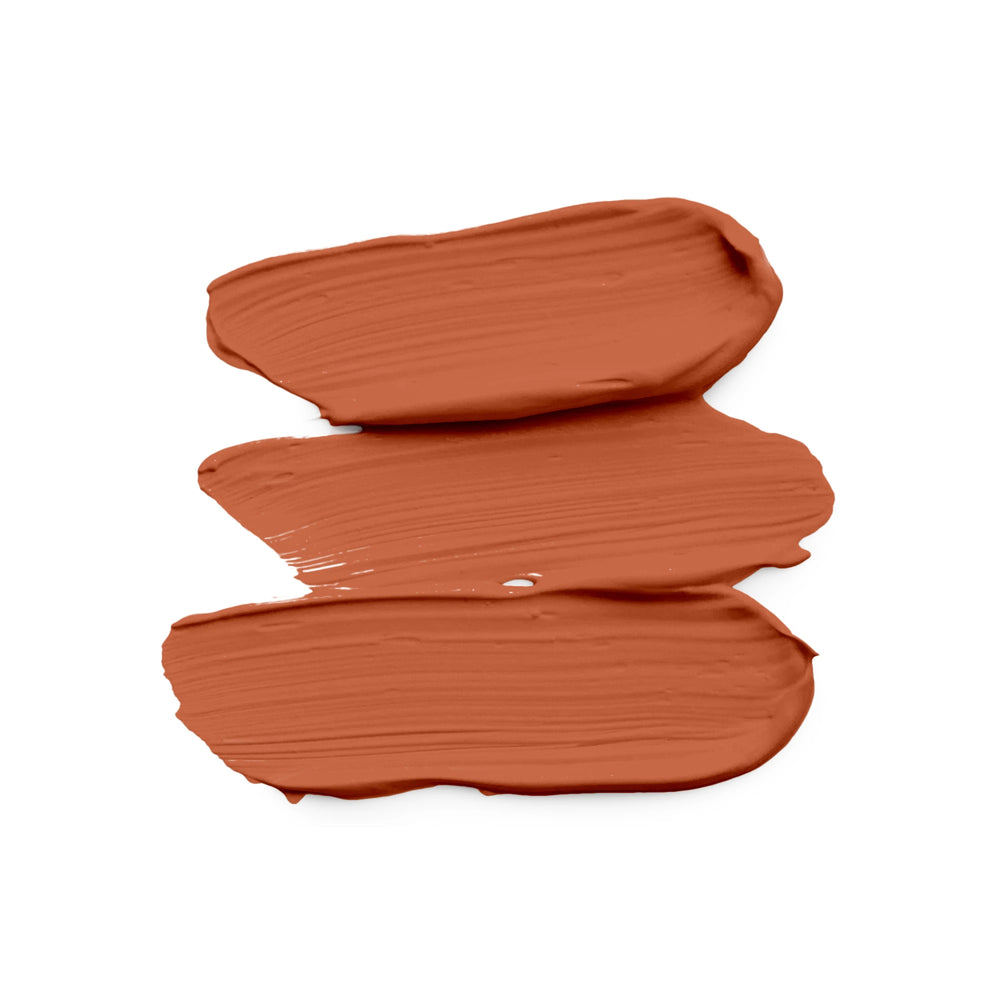 Baily Cosmetics Burnt Orange High Coverage Concealer - Swatch